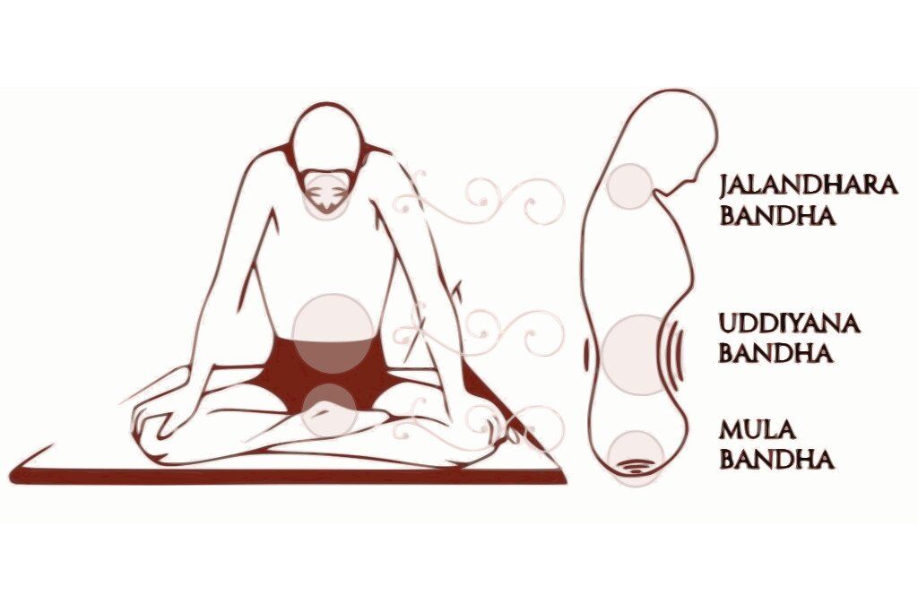 Mula Bandha in Yoga: What It Is and Whether Or Not You Need It |  YogaUOnline | Bandha yoga, Types of yoga, Learn yoga
